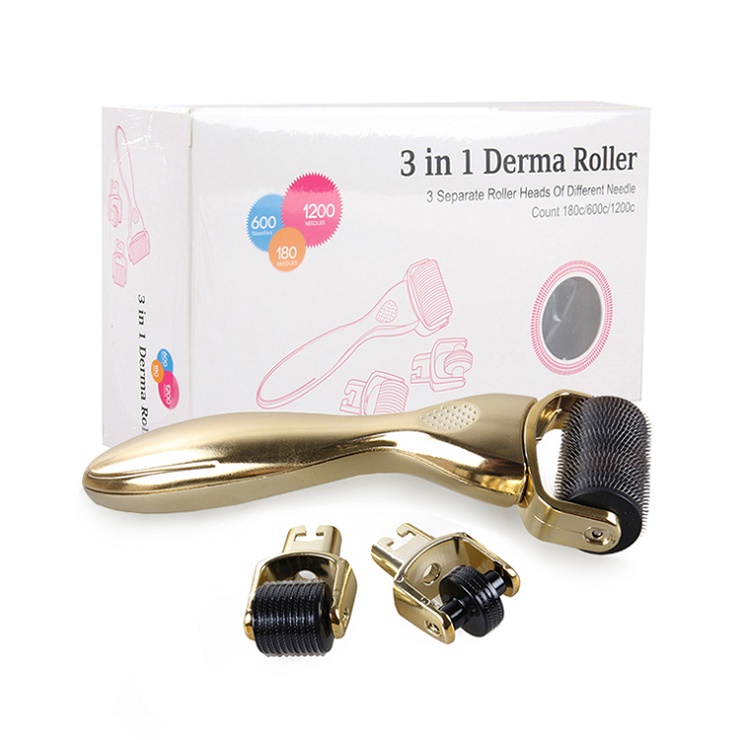 3 in 1 derma roller