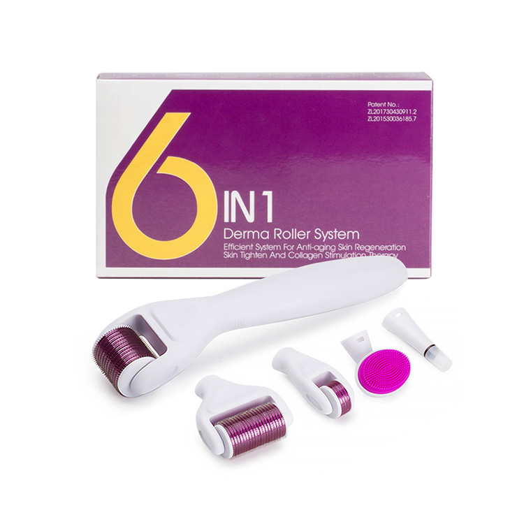 6 in derma roller with box