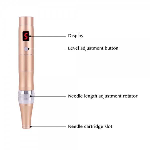 microneedle derma pen structure